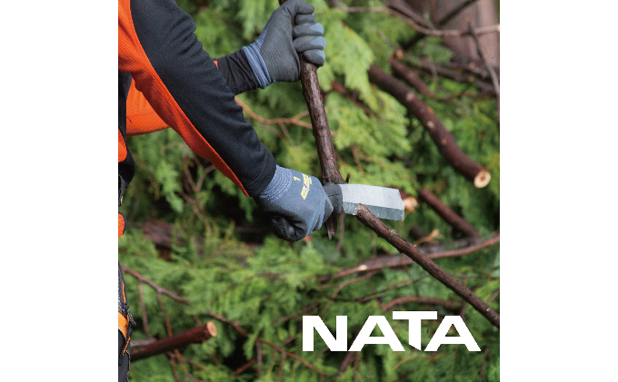 900-78ããŽã æã§æ»ãããæã¡ä»ããŠãçããªãçå ã·ã«ããŒãã¿ãšæèŸŒéžã»ããB é貚 æ¥çšå