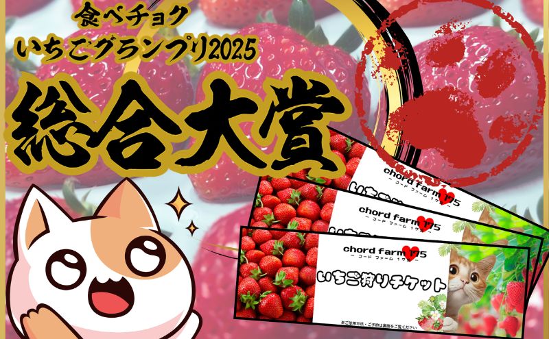 いちご狩り早期招待チケット3枚セット | 苺 イチゴ 体験 チケット お出かけ 