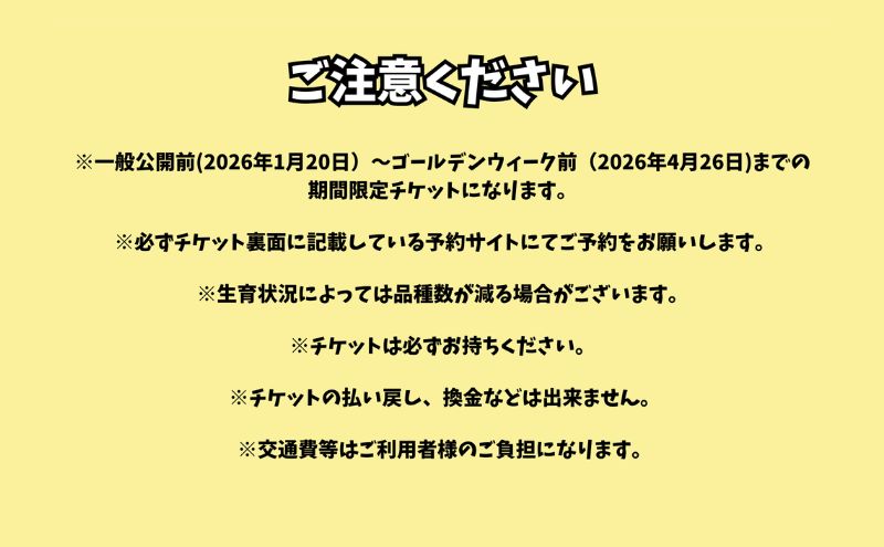 いちご狩り早期招待チケット3枚セット | 苺 イチゴ 体験 チケット お出かけ 