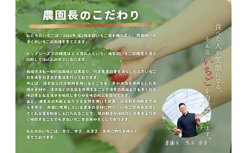 いちご狩り早期招待チケット3枚セット | 苺 イチゴ 体験 チケット お出かけ 