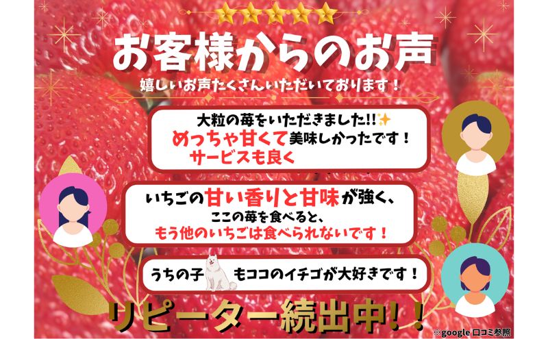 いちご狩り早期招待チケット3枚セット | 苺 イチゴ 体験 チケット お出かけ 