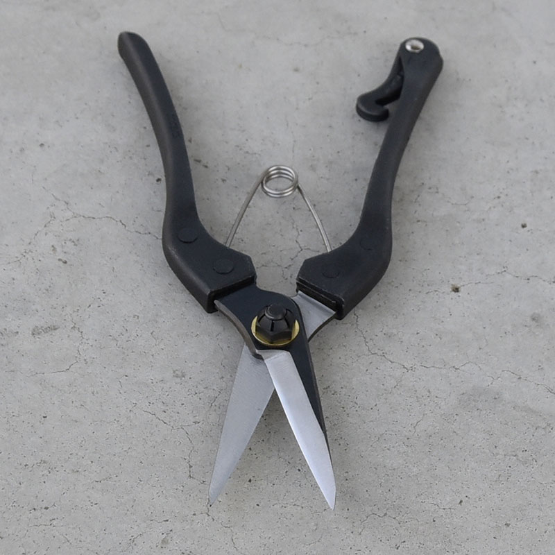 KUROCO èœåéïŒçåã¿ã€ãïŒ180ïœïœã·ã§ãŒããã³ãã« åèžçšå ããµã åªå®