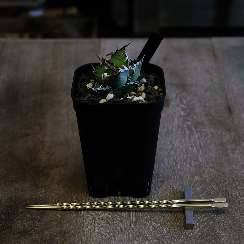 ブラスソイルスティックSS／200ｍｍ　園芸 根かき棒 植物 植え替え ガーデニング