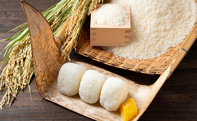 兵庫県小野市産 ヒノヒカリ 10kg（精米）　米 コメ こめ ごはん 白米 精米 ひのひかり 兵庫県 小野市