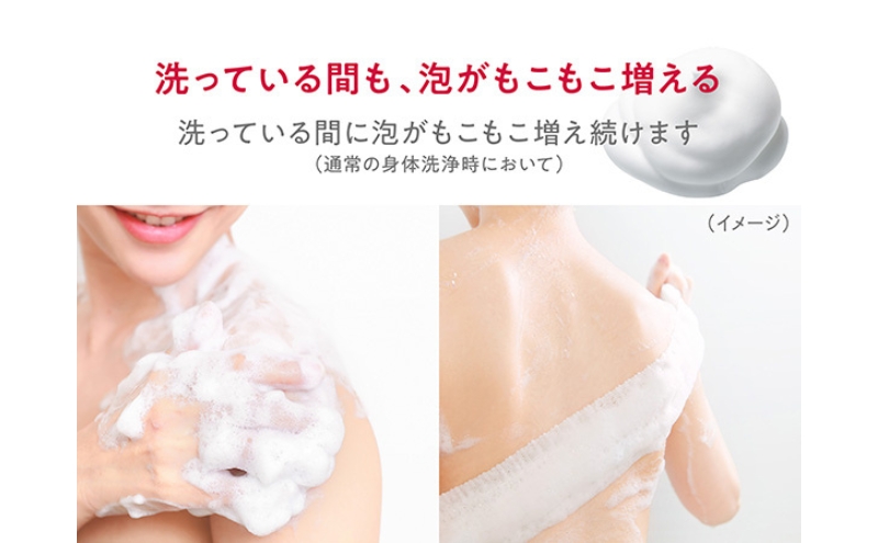 ボディソープ hadakara ( ハダカラ ) 泡タイプ 詰め替え 440ml×16袋 ボディーソープ 泡ボディソープ 泡 日用品 消耗品 バス用品 大容量 いい 匂い ボディ 保湿 LION ライオン 泡石鹸 石鹸 兵庫 兵庫県 小野市