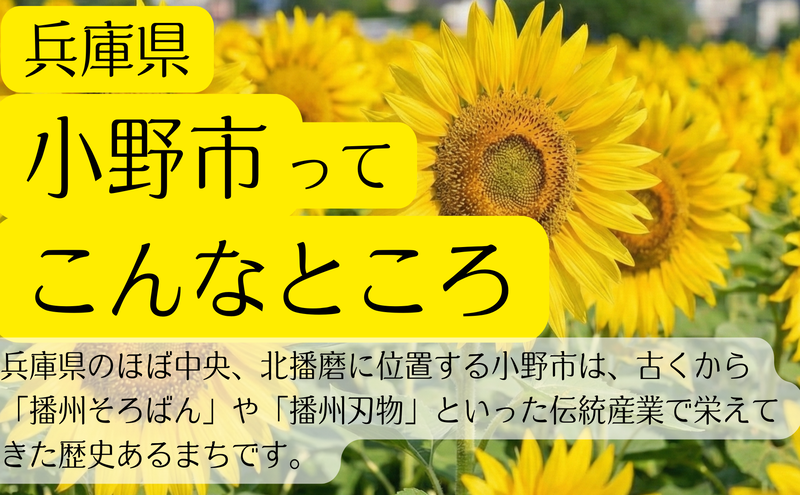ラベンタンク錆取り剤1000mL原液タイプ