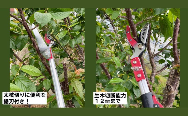 大進 収納に便利な伸縮式高枝切鋏4段 DG-009R4 高枝切りバサミ 4939736703298