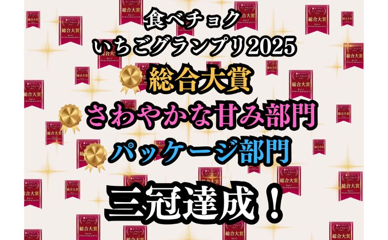 大粒いちご 12粒入りセット [ いちご イチゴ 苺 フルーツ 果物 新鮮 糖度 ] 果物類 