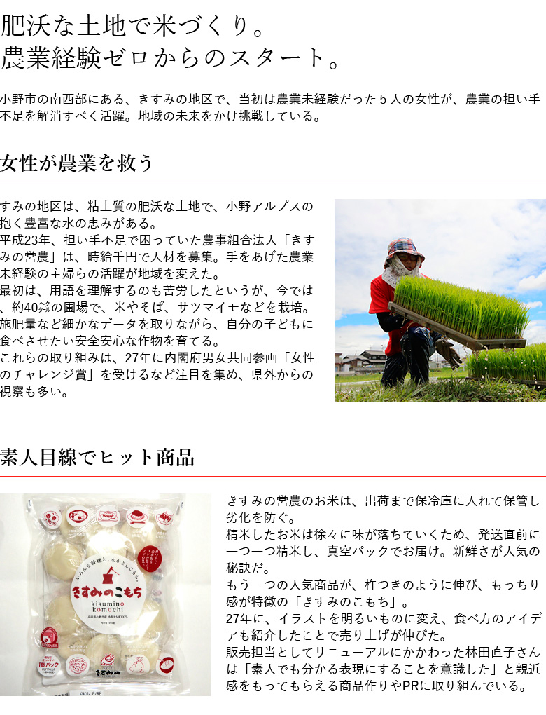 餅 きすみのこもち 6袋セット[ もち お餅 もち米 個包装 無添加 お正月 ] おもち 1 お雑煮 ピザ きんちゃく お歳暮 お年賀 お祝い 1個 パック 