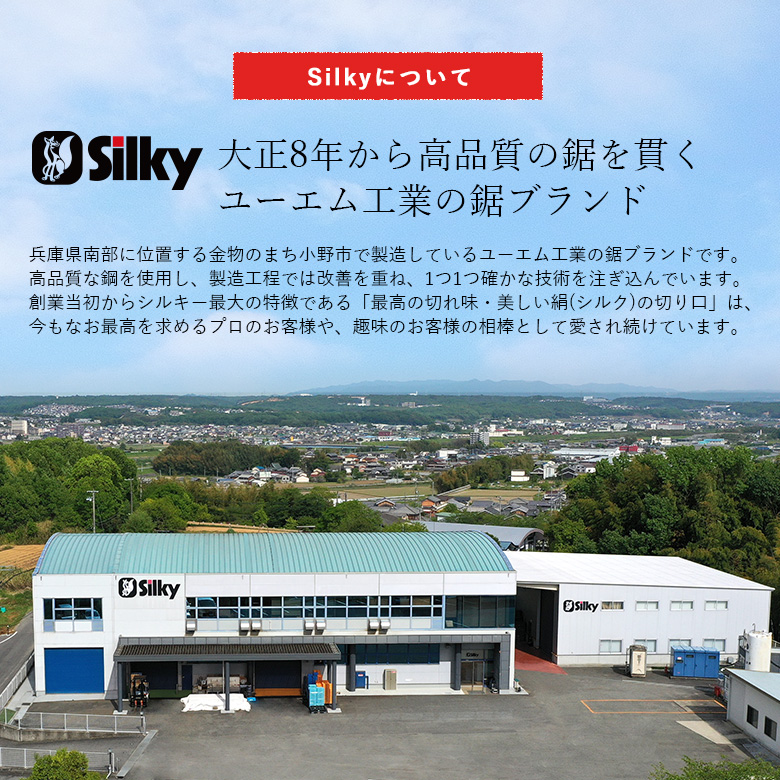 900-57ãäžå®å®ãªè¶³å Žãè©äžåªå®ã楜ã
ãã·ã«ããŒã«ãŒãéžã»ããC é貚 æ¥çšå