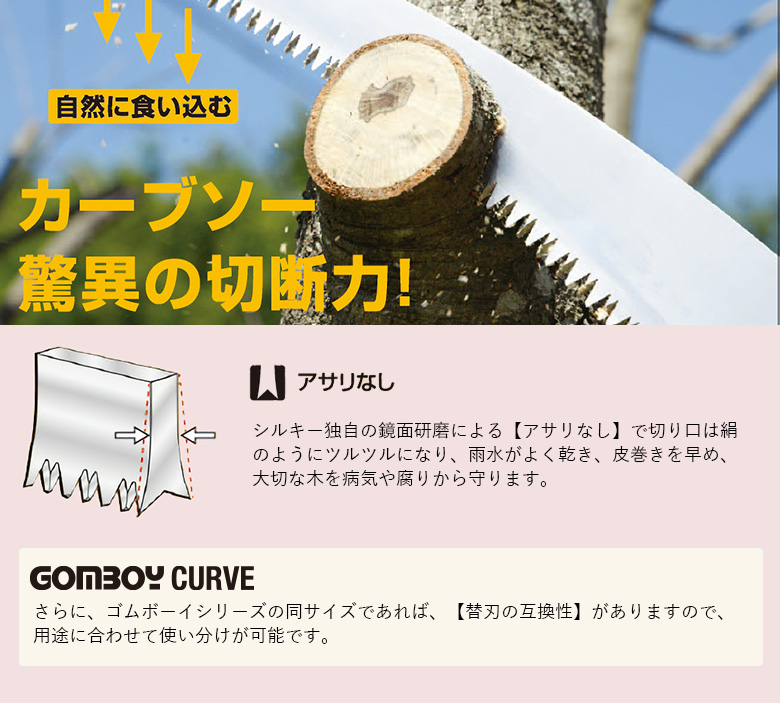 900-57ãäžå®å®ãªè¶³å Žãè©äžåªå®ã楜ã
ãã·ã«ããŒã«ãŒãéžã»ããC é貚 æ¥çšå