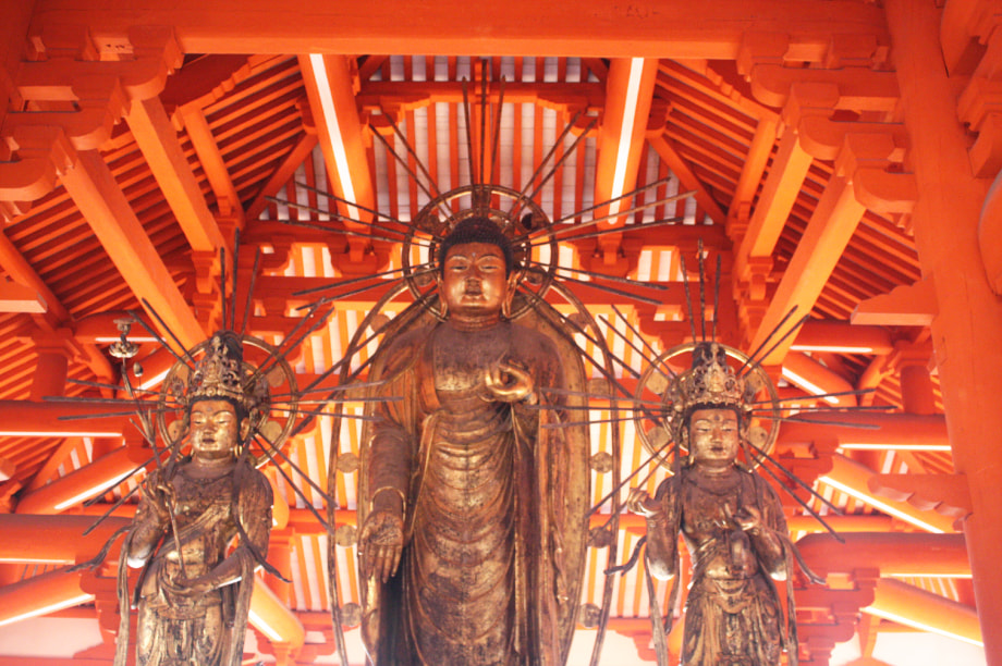 国宝浄土寺・鴨池など観光スポット