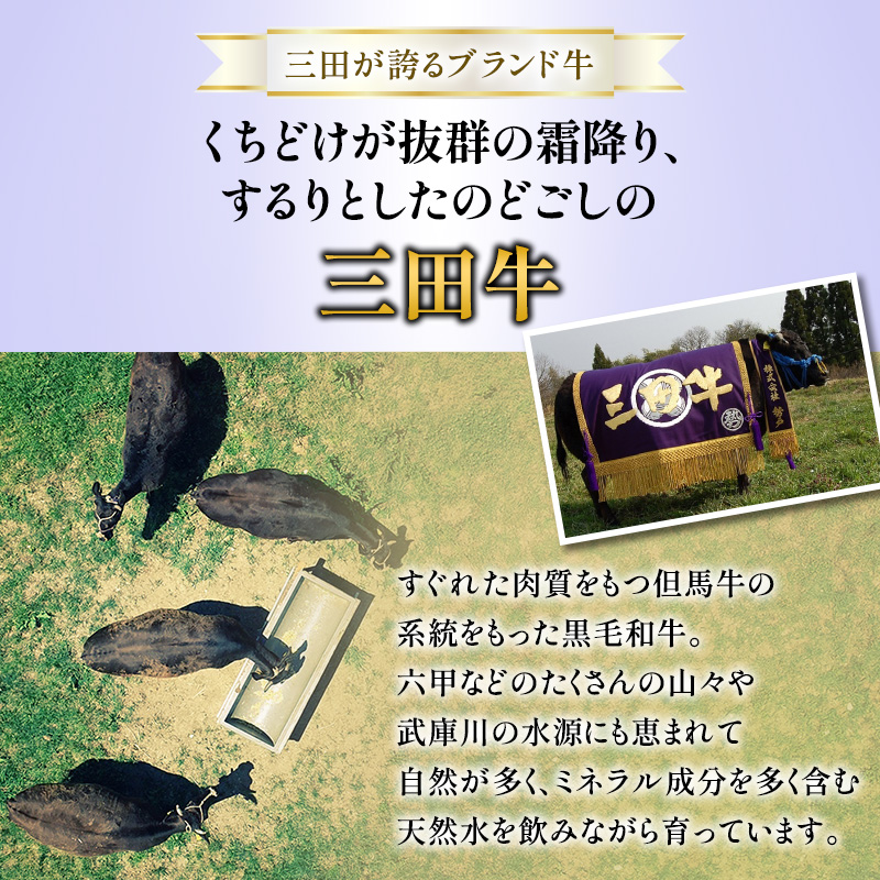 三田牛 すき焼 530ｇ ＆ ミニステーキ 約100ｇ×２枚 ステーキ ビフテキ 勢戸 牛肉 ギフト 肉 お祝い 但馬牛 神戸牛 三田牛 数量限定 訳あり ふるさと納税 ふるさと 人気 おすすめ 送料無料 兵庫県 三田市