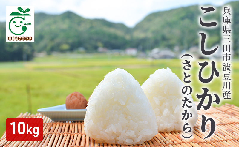 兵庫県三田市波豆川産コシヒカリ（さとのたから）１０kg