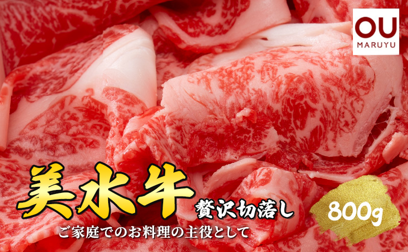 美水牛 贅沢 切落し ( 800ｇ 200ｇ×４) 牛肉 冷凍品 ギフト 肉 お祝い 但馬牛 神戸牛 三田牛 数量限定 訳あり ふるさと納税 ふるさと 人気 おすすめ 送料無料 兵庫県 三田市