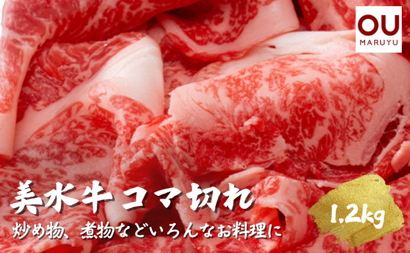 美水牛コマ切れ１２００ｇ（４００ｇ×３）　（冷凍品）【お中元 ギフト 夏 肉 お祝い 】