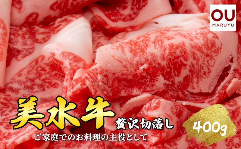 美水牛 贅沢 切落し ( 400ｇ ( 200ｇ×2 ) ) 牛肉 冷凍品 ギフト 肉 お祝い 但馬牛 神戸牛 三田牛 数量限定 訳あり ふるさと納税 ふるさと 人気 おすすめ 送料無料 兵庫県 三田市