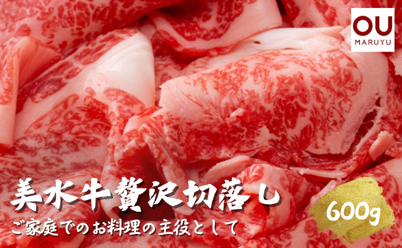 美水牛贅沢切落し６００ｇ（２００ｇ×３）　（冷凍品）【お中元 ギフト 夏 肉 お祝い 】