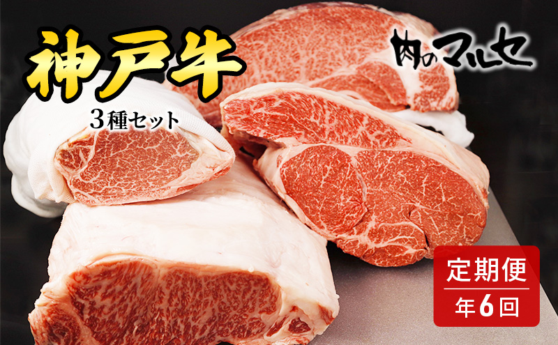 三田 マルセ牛 定期便 ( 年6回コース ) 勢戸 牛肉 ギフト 肉 お祝い 但馬牛 神戸牛 三田牛 数量限定 訳あり ふるさと納税 ふるさと 人気 おすすめ 送料無料 兵庫県 三田市