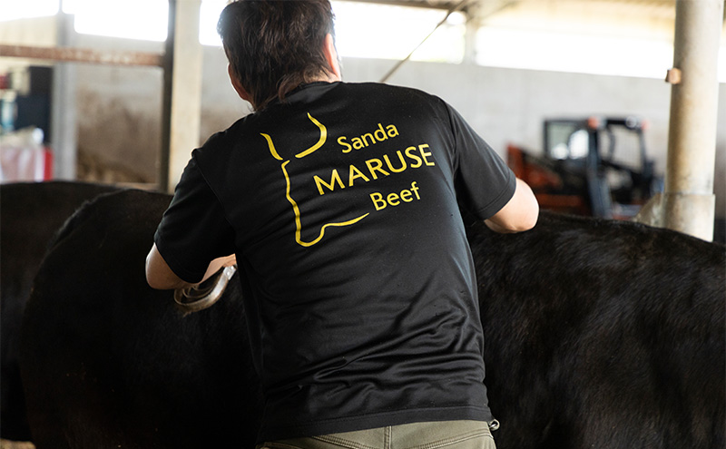 三田 マルセ牛 肉巻き おにぎり ４個  加工食品 惣菜 冷凍 勢戸 牛肉 ギフト 肉 お祝い 但馬牛 神戸牛 三田牛 数量限定 訳あり ふるさと納税 ふるさと 人気 おすすめ 送料無料 兵庫県 三田市