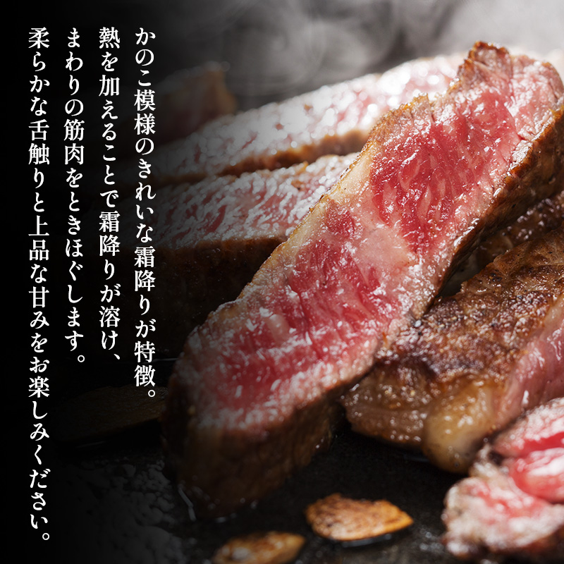 三田牛 すき焼 530ｇ ＆ ミニステーキ 約100ｇ×２枚 ステーキ ビフテキ 勢戸 牛肉 ギフト 肉 お祝い 但馬牛 神戸牛 三田牛 数量限定 訳あり ふるさと納税 ふるさと 人気 おすすめ 送料無料 兵庫県 三田市