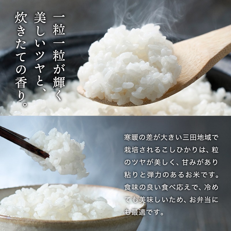 【隔月3回定期便】 令和6年産 三田米 コシヒカリ 5kg 米 お米 白米 新米 精米 こめ コメ こしひかり ご飯 数量限定 訳あり ふるさと納税 ふるさと 人気 おすすめ 送料無料 兵庫県 三田市