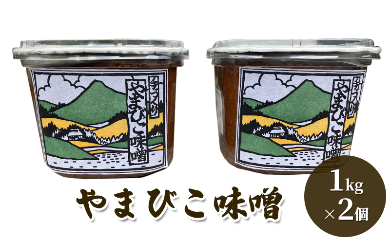 大前醤油おすすめベスト10 100ml×10本 セット 調味料 ギフト|JAL