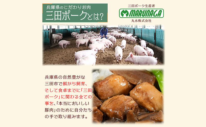 【ふるさと納税】 三田ポークの魯肉飯 (ルーローハン)  160g 4食セット うずら卵入り 台湾料理の丼ご飯の素 健康志向 常温長期保存 保存食 防災 災害備蓄 数量限定 訳あり ふるさと納税 ふるさと 人気 おすすめ 送料無料 兵庫県 三田市 [3d28bae630002]