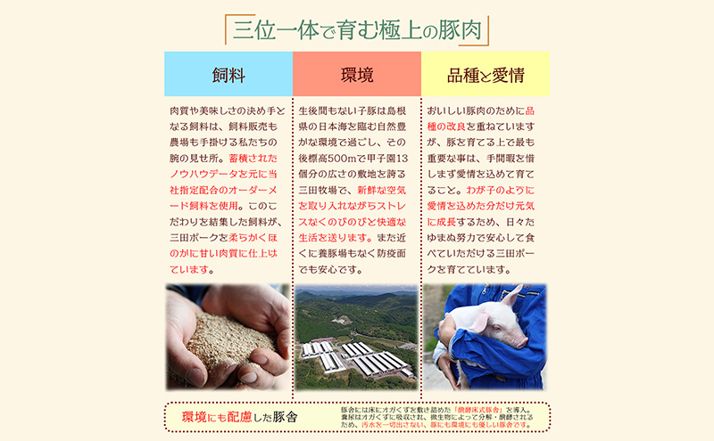 【ふるさと納税】 三田ポークの魯肉飯 (ルーローハン)  160g 4食セット うずら卵入り 台湾料理の丼ご飯の素 健康志向 常温長期保存 保存食 防災 災害備蓄 数量限定 訳あり ふるさと納税 ふるさと 人気 おすすめ 送料無料 兵庫県 三田市 [3d28bae630002]