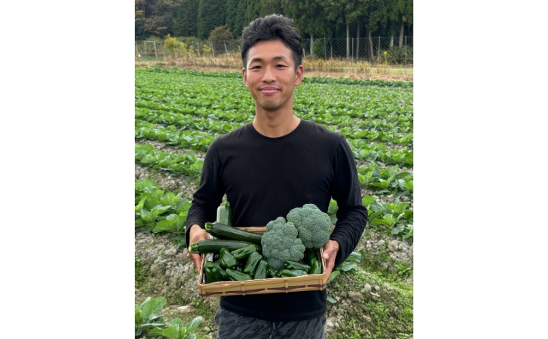 兵庫県三田産　おとうま農園が育てた夏野菜セット（4-6品目）