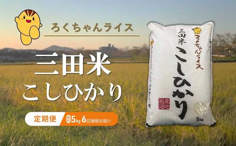 【定期便】新米予約 令和6年度産 三田米 コシヒカリ 5kg 6ヶ月連続 こめ コメ お米 白米 こしひかり 数量限定 訳あり ふるさと納税 ふるさと 人気 おすすめ 送料無料 兵庫県 三田市