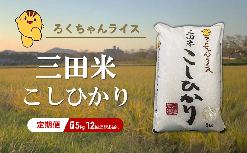 【定期便】期間限定 新米予約 令和6年度産三田米コシヒカリ5kg 12か月連続