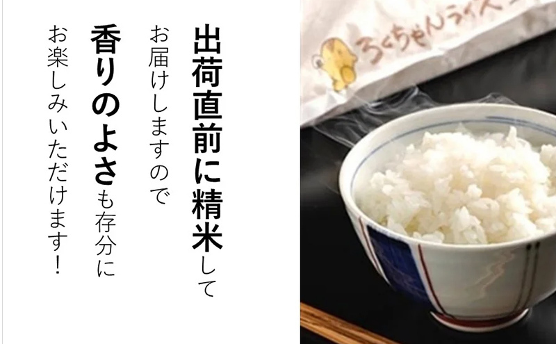 【定期便】期間限定 新米予約 令和6年度産三田米コシヒカリ3kg 12か月連続