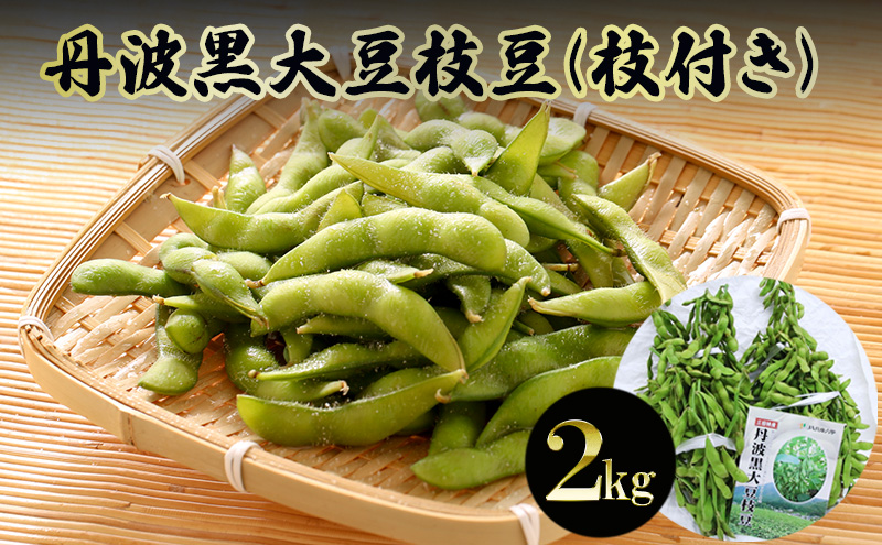 丹波黒大豆枝豆(枝付き)2kg【 野菜 えだまめ 黒大豆 旬の野菜 三田市 】