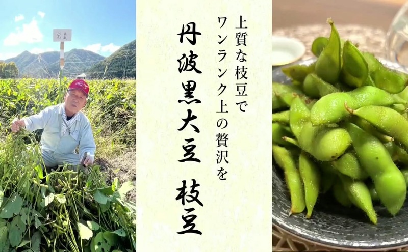 丹波黒大豆枝豆(200g×8袋)【 野菜 えだまめ 黒大豆 旬の野菜 三田市 】