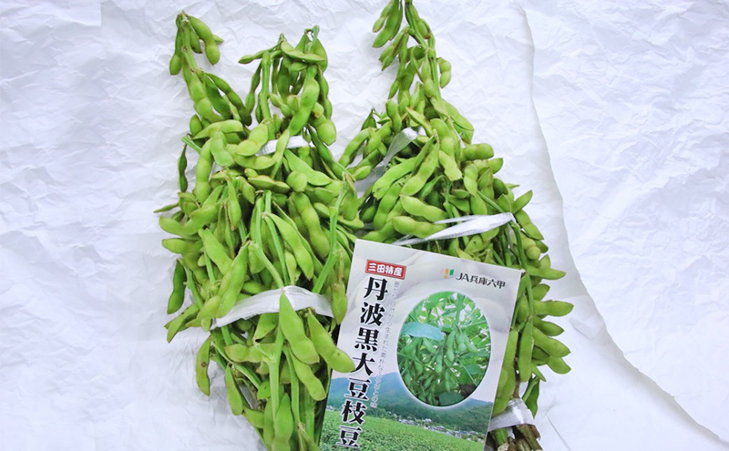 丹波黒大豆枝豆(枝付き)2kg【 野菜 えだまめ 黒大豆 旬の野菜 三田市 】