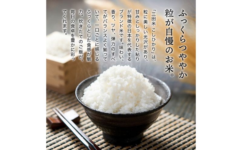 【令和6年度産】三田米コシヒカリ（6kg） 米 こめ コメ お米 おこめ オコメ 精米 白米 もちもち つやつや ご飯 ごはん ふるさと納税 ふるさと 人気 おすすめ 送料無料 兵庫県 三田市