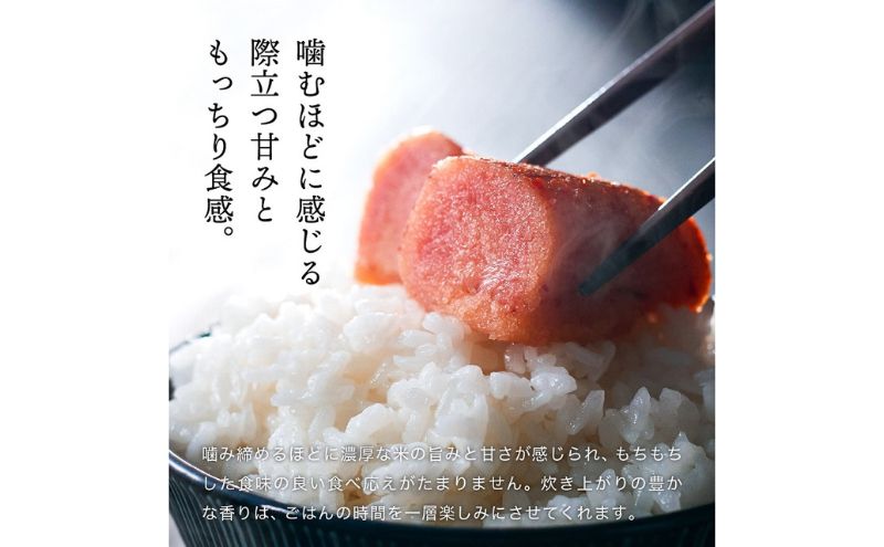 【令和6年度産】三田米コシヒカリ（6kg） 米 こめ コメ お米 おこめ オコメ 精米 白米 もちもち つやつや ご飯 ごはん ふるさと納税 ふるさと 人気 おすすめ 送料無料 兵庫県 三田市