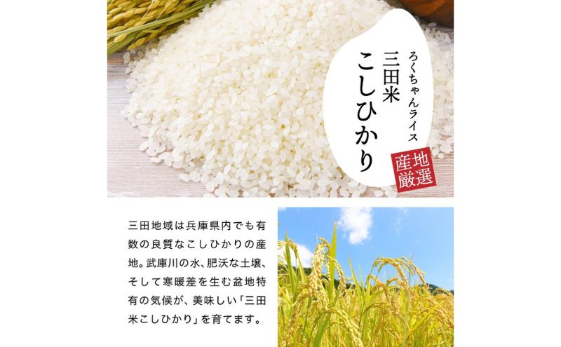 【令和6年度産】三田米コシヒカリ（6kg） 米 こめ コメ お米 おこめ オコメ 精米 白米 もちもち つやつや ご飯 ごはん ふるさと納税 ふるさと 人気 おすすめ 送料無料 兵庫県 三田市