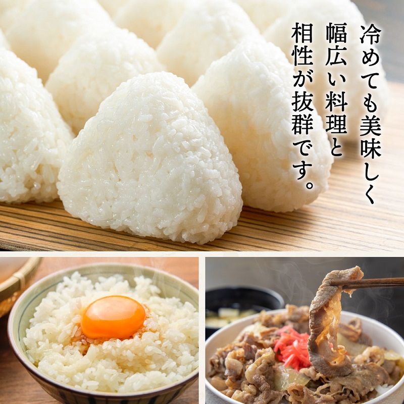 テレビで話題★【定期便】【令和7年度産】 三田米 コシヒカリ 5kg 6ヶ月連続 こめ コメ お米 白米 こしひかり 数量限定 訳あり ふるさと納税 ふるさと 人気 おすすめ 送料無料 兵庫県 三田市 [3d28bae660045]