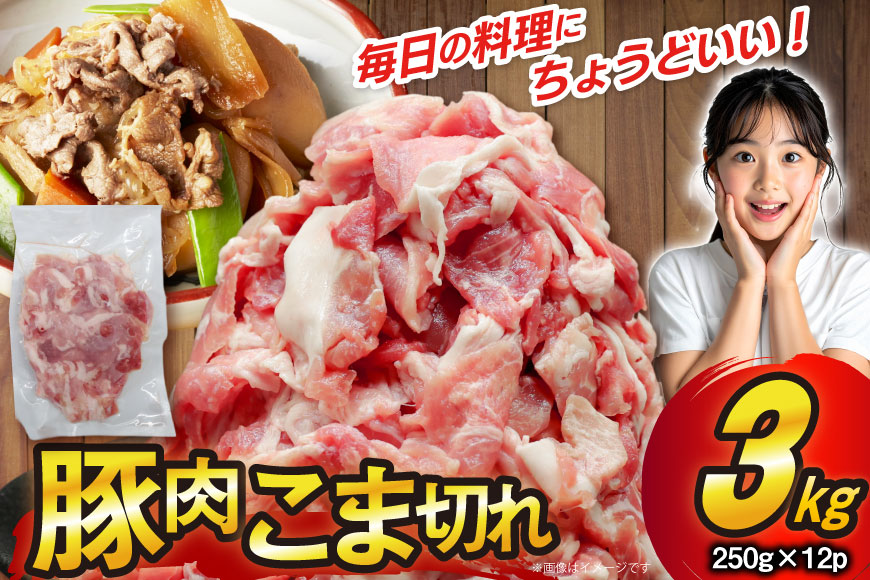豚肉 こま切れ 250g 12p 計3kg 豚こま 豚こま肉 豚 こま切れ [司フーズ・システム 兵庫県 三田市 3d28bdy500010] 小分け 真空パック 冷凍 セット こま 小間切れ 豚こま肉 豚小間 豚細切れ 豚小間切れ