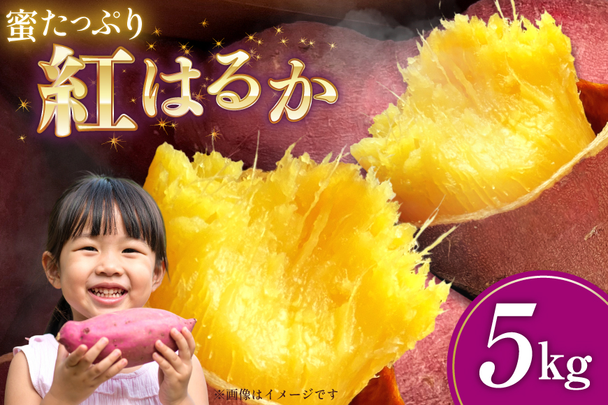 さつまいも 紅はるか 5kg 【2025年11月前半〜2026年3月後半配送】 [SSSファーム 兵庫県 三田市 3d28bed520000] 芋 さつま芋 べにはるか お芋 5キロ