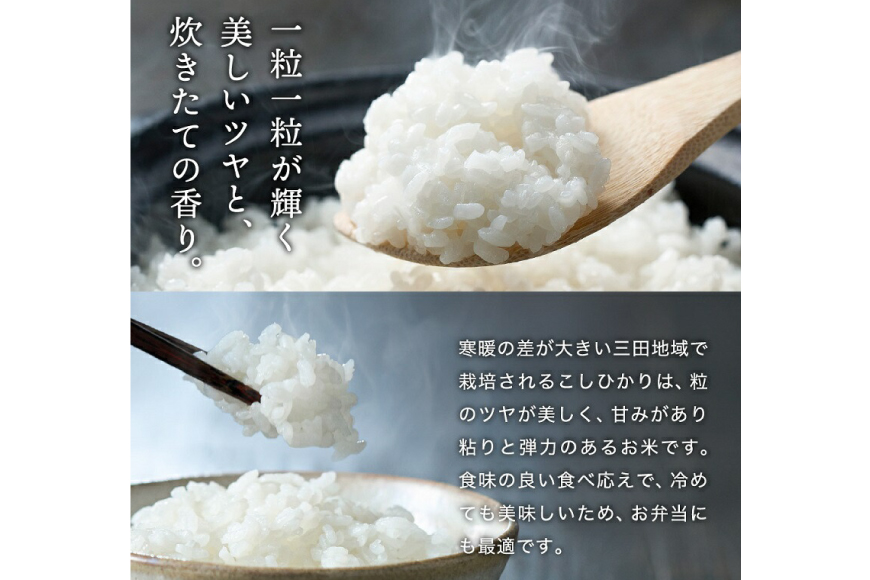 テレビで話題★【令和6年度産】 米 三田米 コシヒカリ 5kg [パスカルさんだ 兵庫県 三田市 3d28bae660039] お米 こめ おこめ 精米 白米 コメ オコメ もちもち つやつや ご飯 ごはん