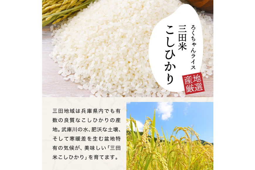 テレビで話題★【令和6年度産】 米 三田米 コシヒカリ 5kg [パスカルさんだ 兵庫県 三田市 3d28bae660039] お米 こめ おこめ 精米 白米 コメ オコメ もちもち つやつや ご飯 ごはん