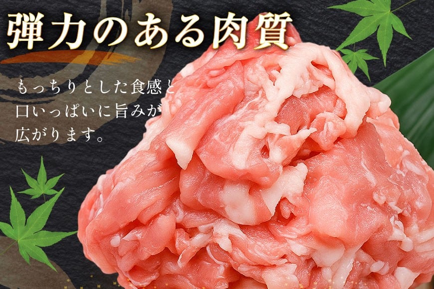 豚肉 バラエティ セット 計1.5kg 6回 定期便 [司フーズ・システム 兵庫県 三田市 3d28bdy500019] 豚 肉 とんかつ 小間切れ バラしゃぶ 豚こま肉 豚コマ 小分け 真空パック