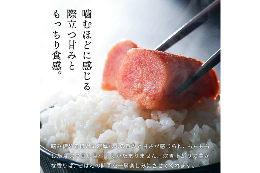 テレビで話題★【令和6年度産】 米 三田米 コシヒカリ 5kg [パスカルさんだ 兵庫県 三田市 3d28bae660039] お米 こめ おこめ 精米 白米 コメ オコメ もちもち つやつや ご飯 ごはん