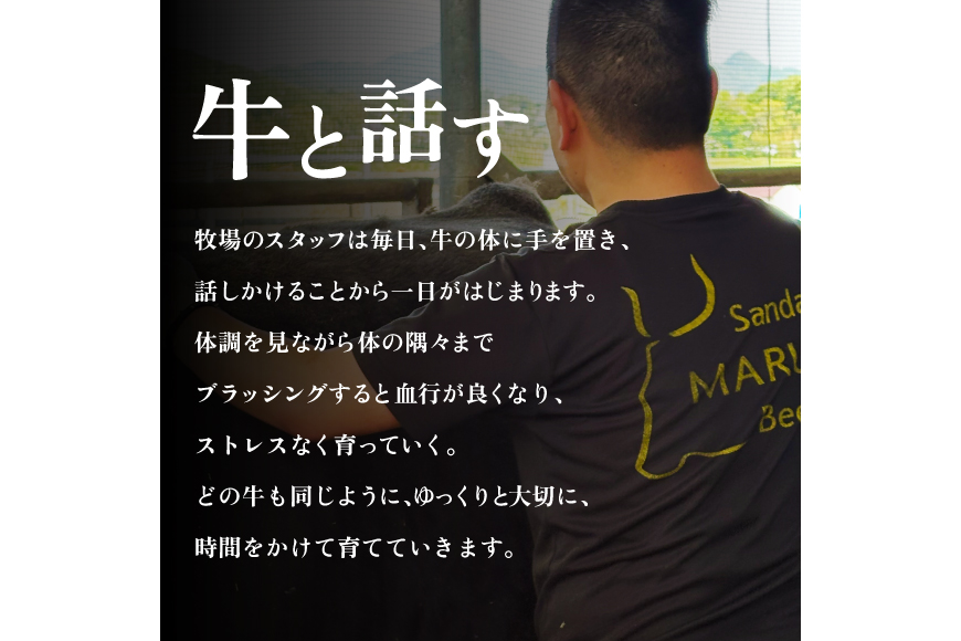 【ふるさと納税】 三田 マルセ牛 しゃぶしゃぶ 580ｇ シャブシャブ マルセ 勢戸牛肉 ギフト 肉 お祝い 但馬牛 神戸牛 三田牛 数量限定 訳あり ふるさと納税 ふるさと 人気 おすすめ 送料無料 兵庫県 三田市 [3d28bae610008]