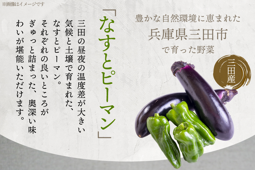 三田で育ったなすとピーマンのビーフシチュー 10食入 [コスモス食品 兵庫県 三田市 3d28bae190062] ビーフシチュー インスタント 常温 シチュー