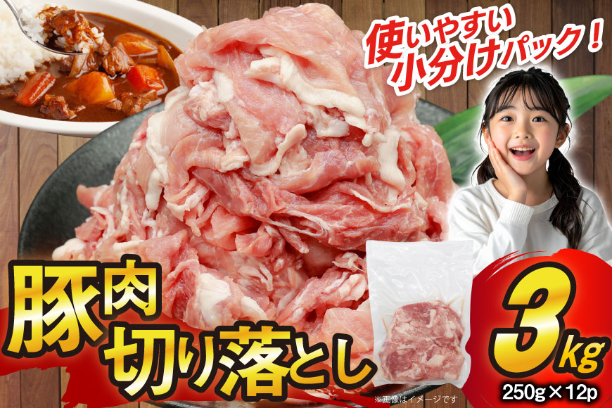 豚肉 切り落とし 250g 12p 計3kg 豚 切り落とし 切落し [司フーズ・システム 兵庫県 三田市 3d28bdy500012] 豚 肉 セット 小分け 真空パック 真空 冷凍 お弁当 おかず おすすめ