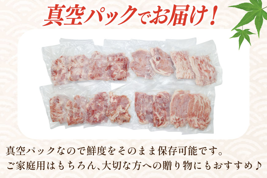 豚肉 バラエティ セット 計3kg ロース とんかつ用 豚こま 肩ロース スライス 切り落とし しゃぶしゃぶ [司フーズ・システム 兵庫県 三田市 3d28bdy500013] 豚 肉 とんかつ 小間切れ バラしゃぶ 豚こま肉 豚コマ 小分け 真空パック